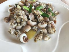 -罗源湾8号渔排