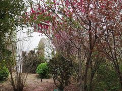 -武清南湖绿博园