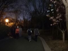 -迎泽公园