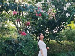 -杭州城北体育公园