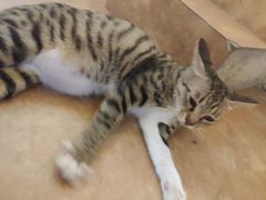 -逃脱反斗城沉浸剧情密室(北京路店)