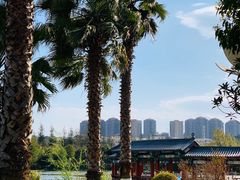 -洛龙公园