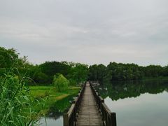 -苏州太湖国家湿地公园