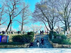 -大连植物园