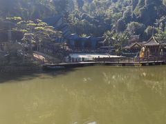 -西双版纳原始森林公园