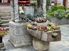 -寂照庵