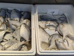 -岳各庄批发市场(西四环中路店)