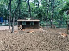 -南戴河国际娱乐中心