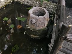 -慢丽江·云南野生菌土鸡锅(西山店)