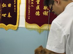 -中农大我爱我爱24h动物医院·中医针灸·猫专科·骨科医疗中心(双井店)