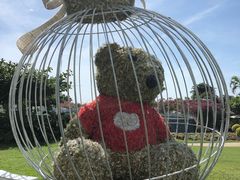 -三亚亚龙湾天域度假酒店