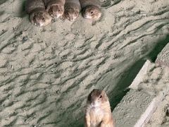 -杭州野生动物世界