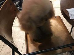 -Simple Yummy简单美味(上邦百汇城店)