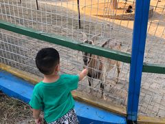 -武汉紫薇都市田园