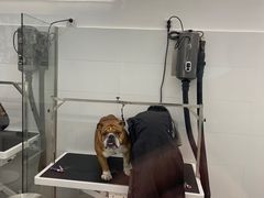 -comecome来吧宠物(奥克斯中心店)