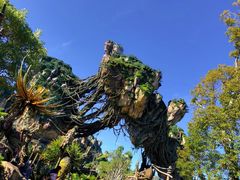 -奥兰多迪士尼动物王国乐园