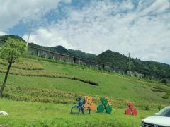 -牛背梁国家森林公园