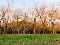 -蜀冈西峰生态公园