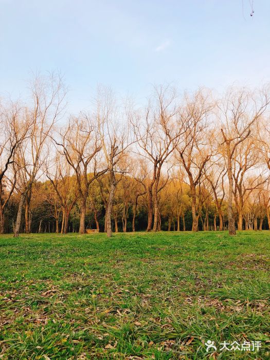 蜀冈西峰生态公园图片