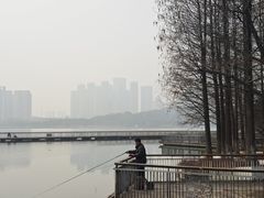 -月湖风景区