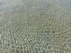 -北海金海湾红树林生态旅游区