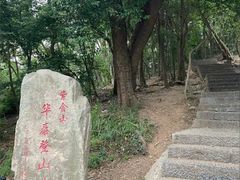 -紫金山山顶公园