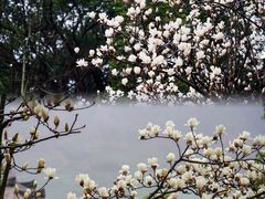 -篁岭景区