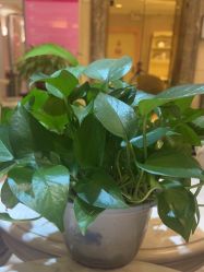 -北京俪婴妇产医院(朝阳大悦城店)