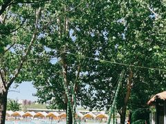 -北京鹿世界主题园