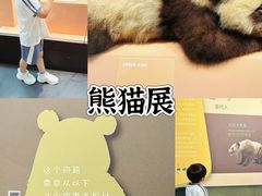 -深圳博物馆历史民俗馆