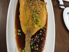 -全聚德(上海首店浦东店)