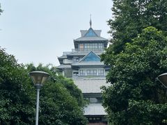 -金鸡湖桃花岛