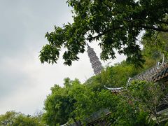 -顺峰山公园