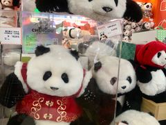 -熊猫邮局(少城店)