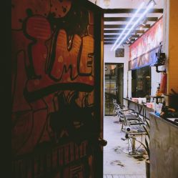 -SALON V