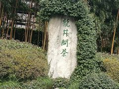 -龙井村
