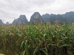 -大新明仕山庄