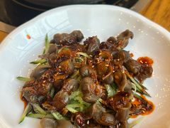 -百利鸽王(紫薇路店)