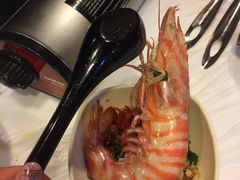 -鲜入围煮花胶鸡海鲜火锅