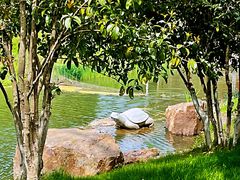 -幕燕滨江·长江观音景区