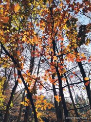 -中国科学院昆明植物研究所植物医生研发中心产品体验馆