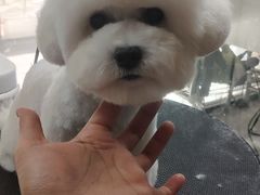 -久久宠物(河东万达店)