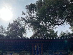 -颐和园