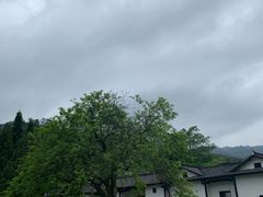 -毛泽东同志旧居