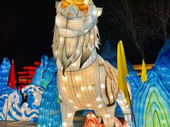 -河北村民俗体验园