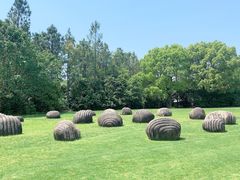 -上海月湖雕塑公园