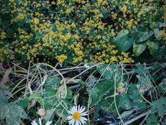 -北京金海湖景区