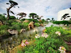 -罗红摄影艺术馆