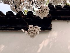 -慢丽江·云南野生菌土鸡锅(西山店)