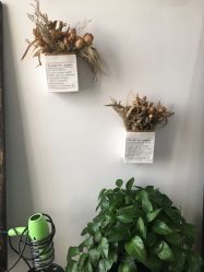 -ONE·男士国潮·美式渐变·理发馆·BARBER SHOP